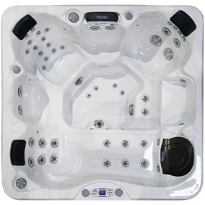 Avalon EC-849L hot tubs for sale in Coral Springs